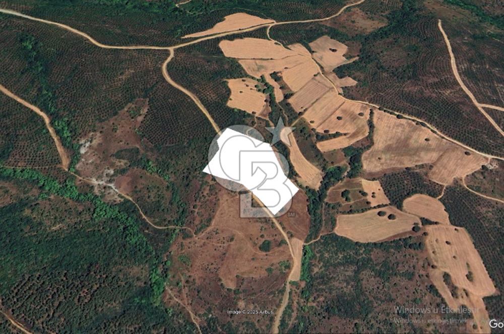 Çanakkale Lapseki Dişbudak’ta 18.920 m² Satılık Arazi