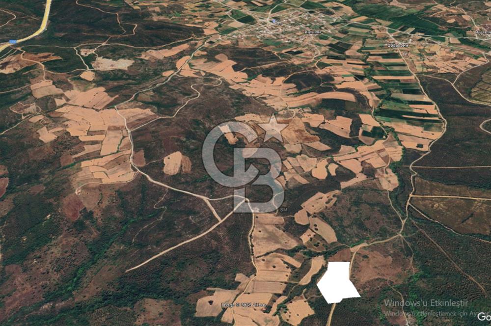 Çanakkale Lapseki Dişbudak’ta 18.920 m² Satılık Arazi