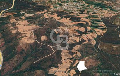 Çanakkale Lapseki Dişbudak’ta 18.920 m² Satılık Arazi