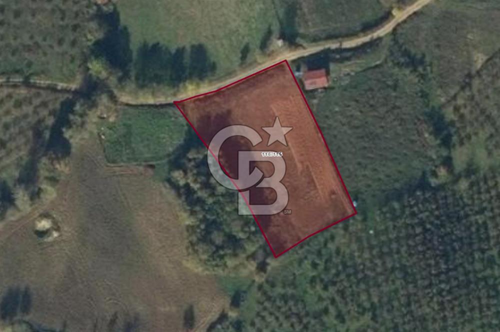 İZMİT BÖĞÜRGEN 'DE 3240 m² KADASTRAL YOLA CEPHE SATILIK TARLA