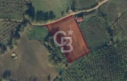 İZMİT BÖĞÜRGEN 'DE 3240 m² KADASTRAL YOLA CEPHE SATILIK TARLA
