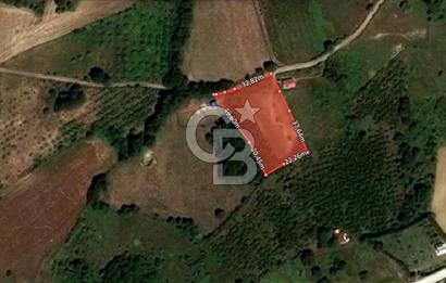İZMİT BÖĞÜRGEN 'DE 3240 m² KADASTRAL YOLA CEPHE SATILIK TARLA