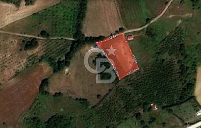 İZMİT BÖĞÜRGEN 'DE 3240 m² KADASTRAL YOLA CEPHE SATILIK TARLA