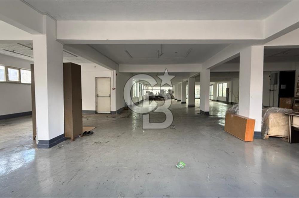 EYÜP TOPÇULARDA SATILIK 5 KATLI BETONARME İŞ YERİ VE ARSASI