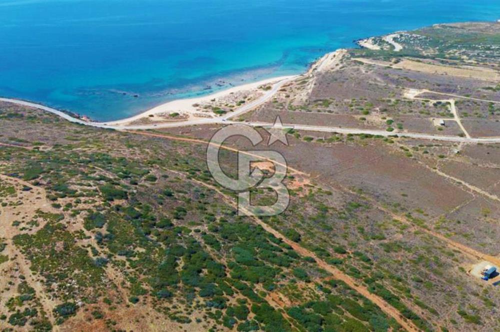 Çanakkale Bozcaada Ayana Koyunda Denize 305m Satılık Arsa !