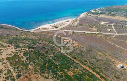 Çanakkale Bozcaada Ayana Koyunda Denize 305m Satılık Arsa !