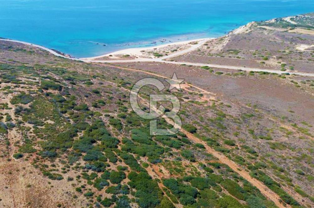 Çanakkale Bozcaada Ayana Koyunda Denize 305m Satılık Arsa !