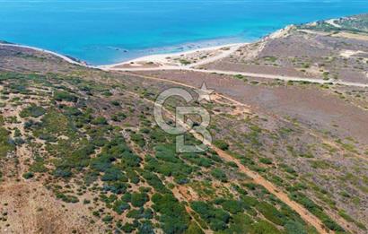 Çanakkale Bozcaada Ayana Koyunda Denize 305m Satılık Arsa !