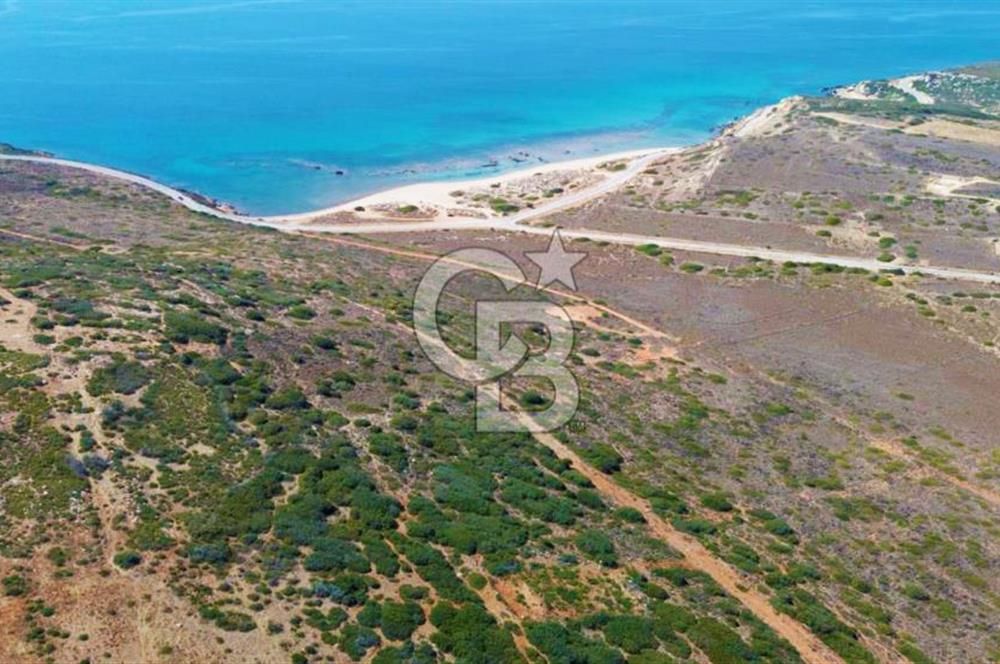 Çanakkale Bozcaada Ayana Koyunda Denize 305m Satılık Arsa !