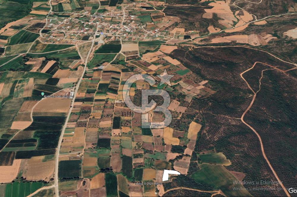 ÇANAKKALE LAPSEKİ DİŞBUDAK'TA 1.690 m² SATILIK ARAZİ