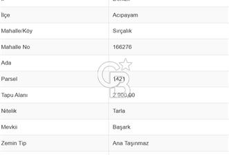 Denizli Acıpayam Sırçalık Mh. 2.900 M² Satılık Tarla