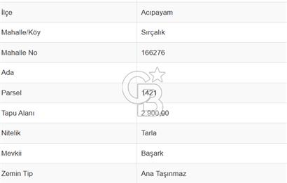 Denizli Acıpayam Sırçalık Mh. 2.900 M² Satılık Tarla