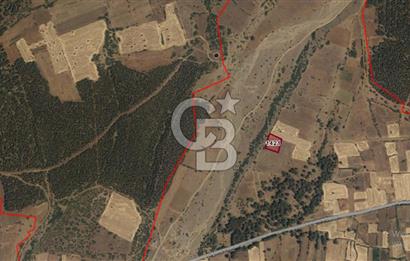 Denizli Acıpayam Sırçalık Mh. 2.900 M² Satılık Tarla