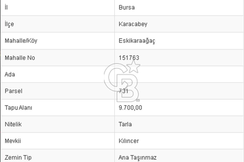 CB BLACK'TAN KARACABEY ESKİKARAAĞAÇ'TA 9700 M2 SATILIK TARLA