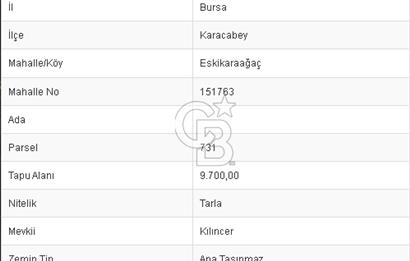 CB BLACK'TAN KARACABEY ESKİKARAAĞAÇ'TA 9700 M2 SATILIK TARLA