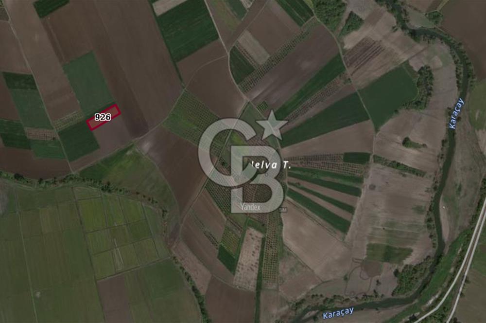 CB BLACK'TAN KARACABEY SULTANİYE'DE 2500 M2 SATILIK TARLA