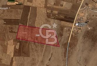 CB BLACK'TAN ŞANLIURFA'DA GES İÇİN MARJİNAL ALINMIŞ TARLA
