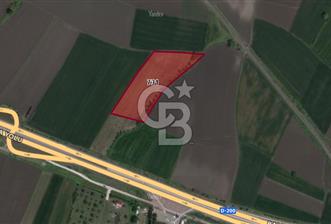 CB BLACK'TAN KARACABEY ESKİKARAAĞAÇ'TA 9700 M2 SATILIK TARLA