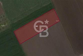CB BLACK'TAN KARACABEY SULTANİYE'DE 2500 M2 SATILIK TARLA