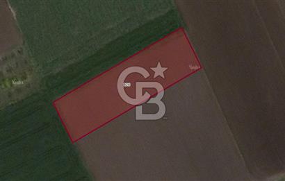 CB BLACK'TAN KARACABEY SULTANİYE'DE 2500 M2 SATILIK TARLA