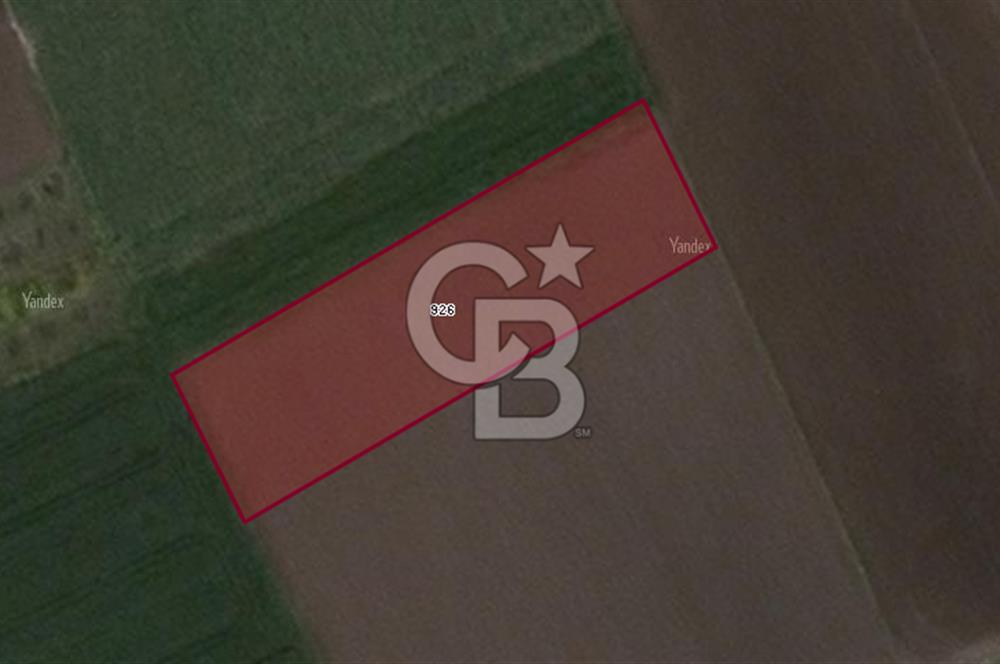 CB BLACK'TAN KARACABEY SULTANİYE'DE 2500 M2 SATILIK TARLA