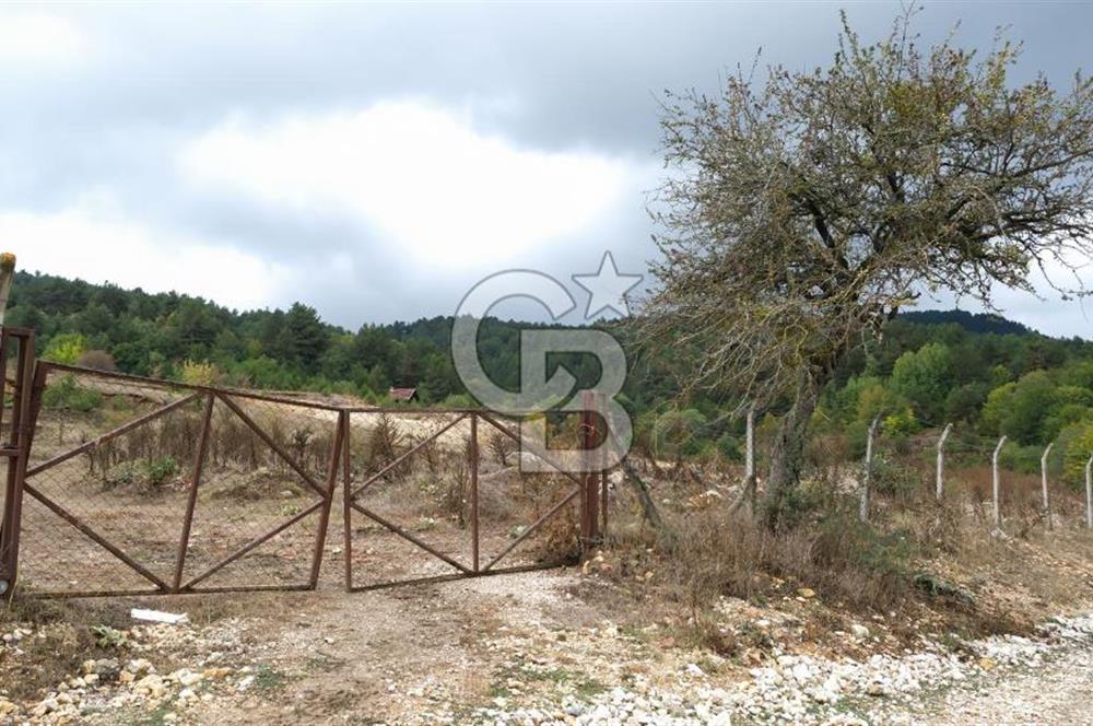 CB CITY' DEN BOLU MERKEZ GÖVEN DE TURİZM İMARLI SATILIK ARSA