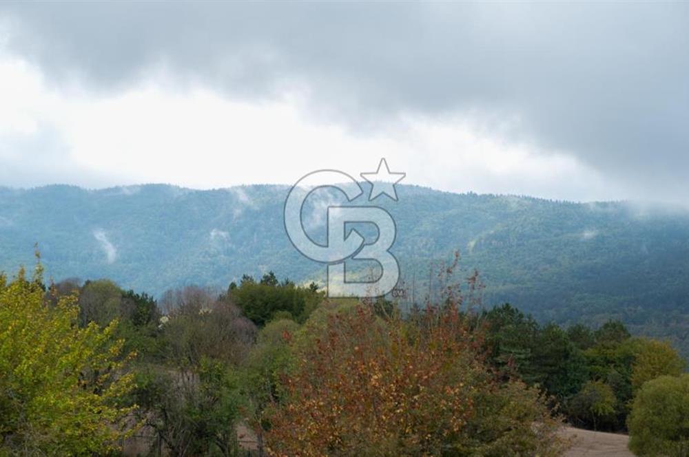 CB CITY' DEN BOLU MERKEZ GÖVEN DE TURİZM İMARLI SATILIK ARSA