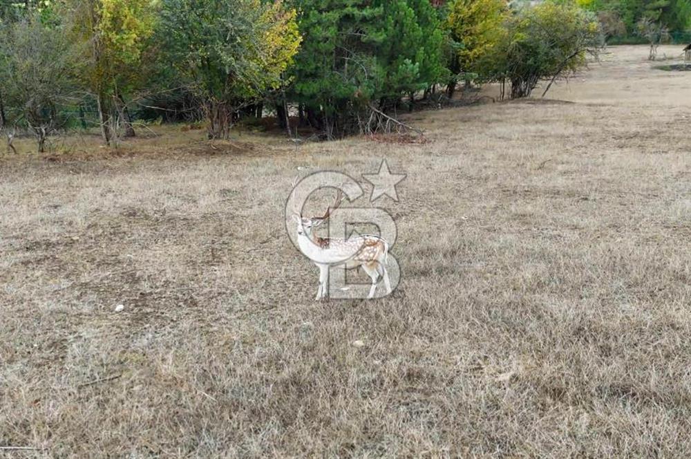 CB CITY' DEN BOLU MERKEZ GÖVEN DE TURİZM İMARLI SATILIK ARSA