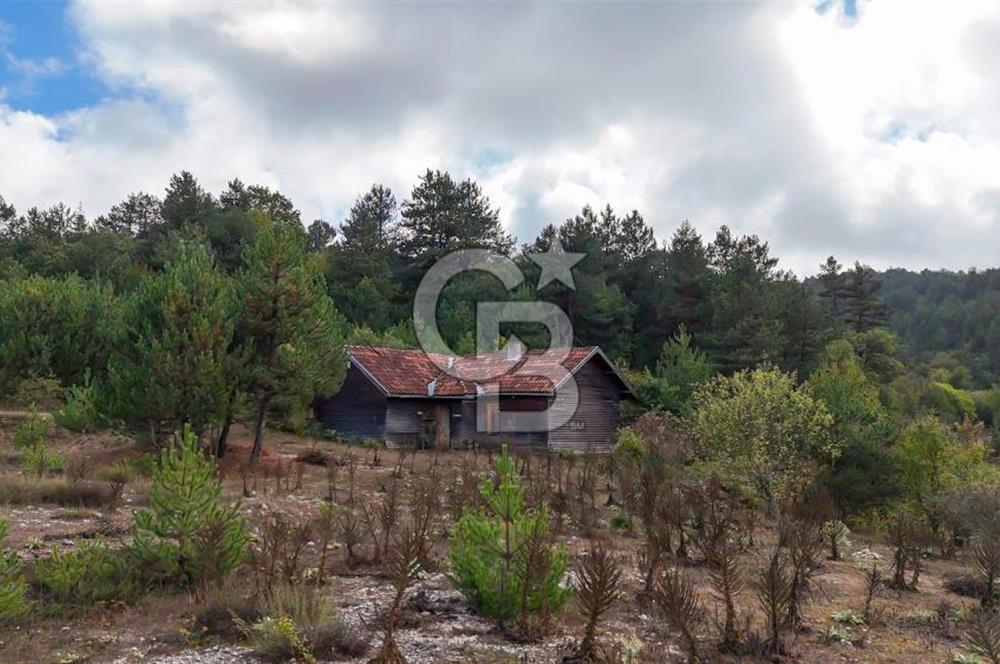 CB CITY' DEN BOLU MERKEZ GÖVEN DE TURİZM İMARLI SATILIK ARSA