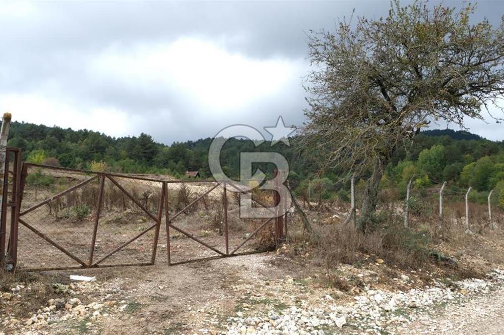 CB CITY' DEN BOLU MERKEZ GÖVEN DE TURİZM İMARLI SATILIK ARSA
