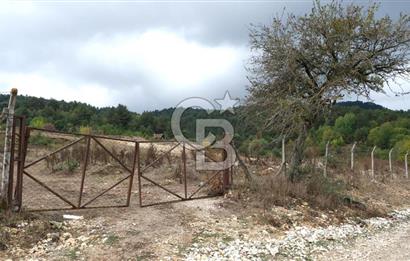 CB CITY' DEN BOLU MERKEZ GÖVEN DE TURİZM İMARLI SATILIK ARSA