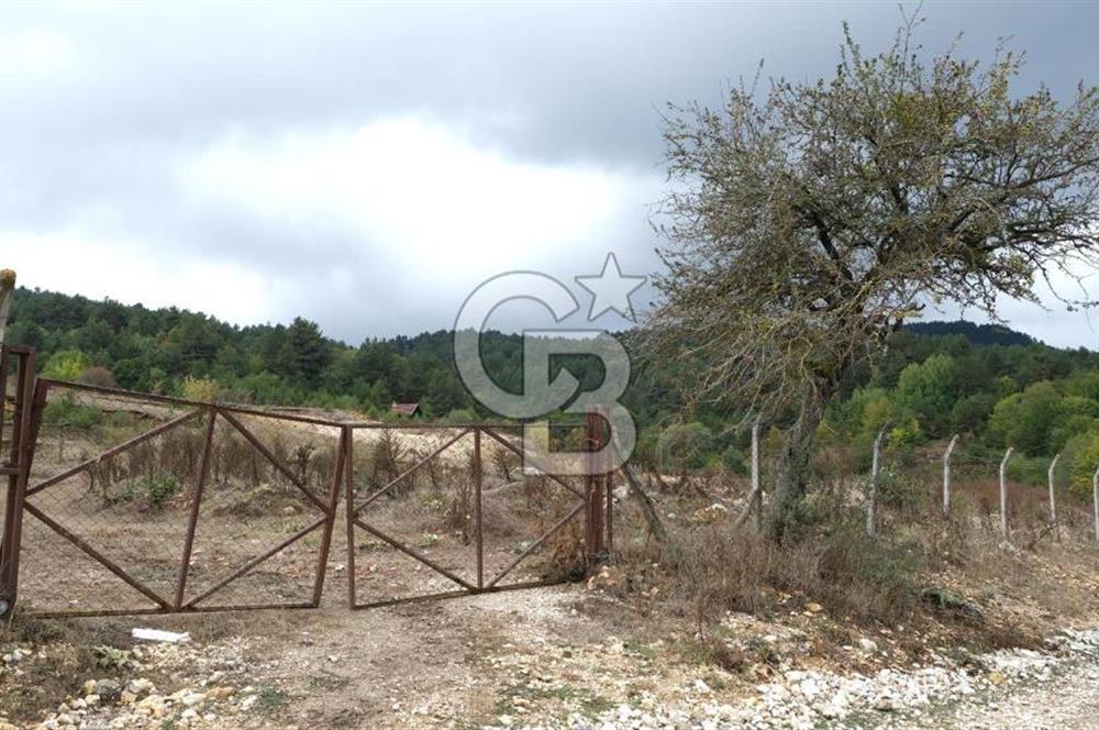 CB CITY' DEN BOLU MERKEZ GÖVEN DE TURİZM İMARLI SATILIK ARSA