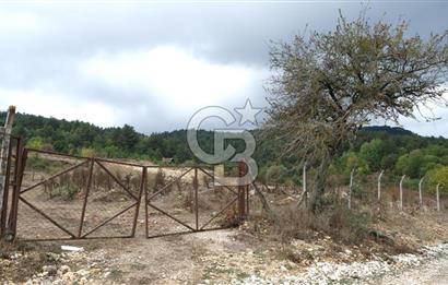 CB CITY' DEN BOLU MERKEZ GÖVEN DE TURİZM İMARLI SATILIK ARSA
