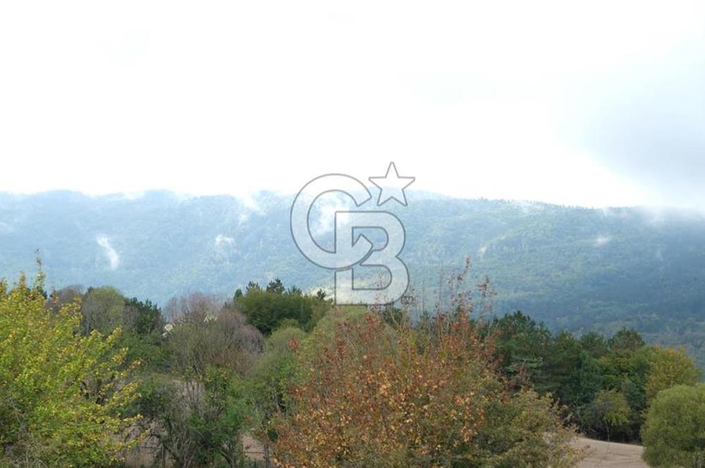 CB CITY' DEN BOLU MERKEZ GÖVEN DE TURİZM İMARLI SATILIK ARSA