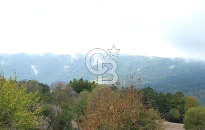 CB CITY' DEN BOLU MERKEZ GÖVEN DE TURİZM İMARLI SATILIK ARSA