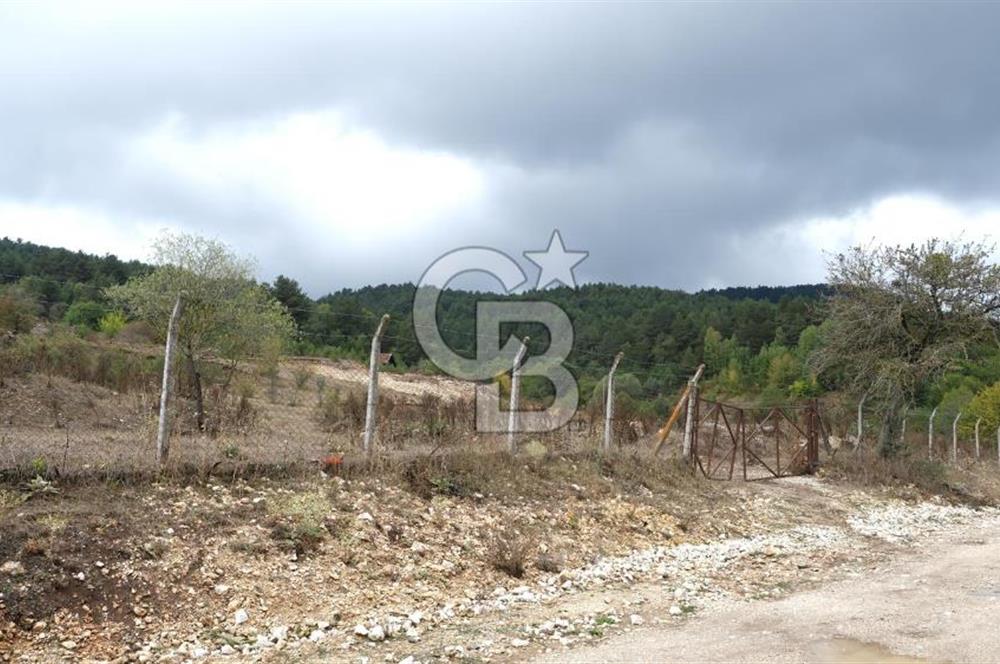 CB CITY' DEN BOLU MERKEZ GÖVEN DE TURİZM İMARLI SATILIK ARSA
