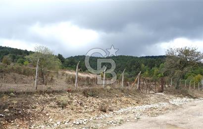 CB CITY' DEN BOLU MERKEZ GÖVEN DE TURİZM İMARLI SATILIK ARSA
