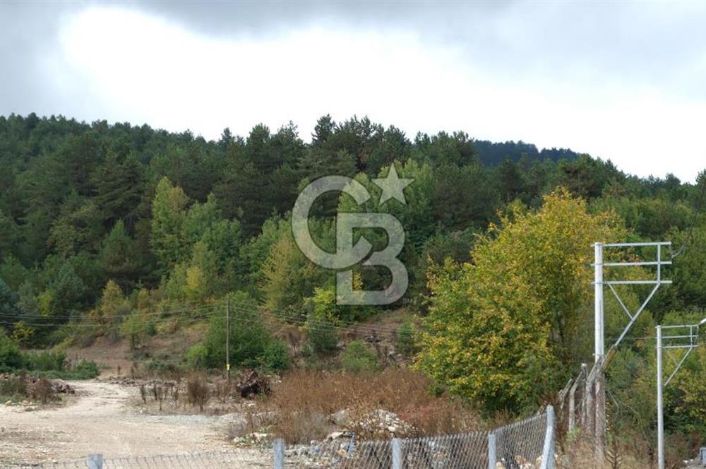 CB CITY' DEN BOLU MERKEZ GÖVEN DE TURİZM İMARLI SATILIK ARSA