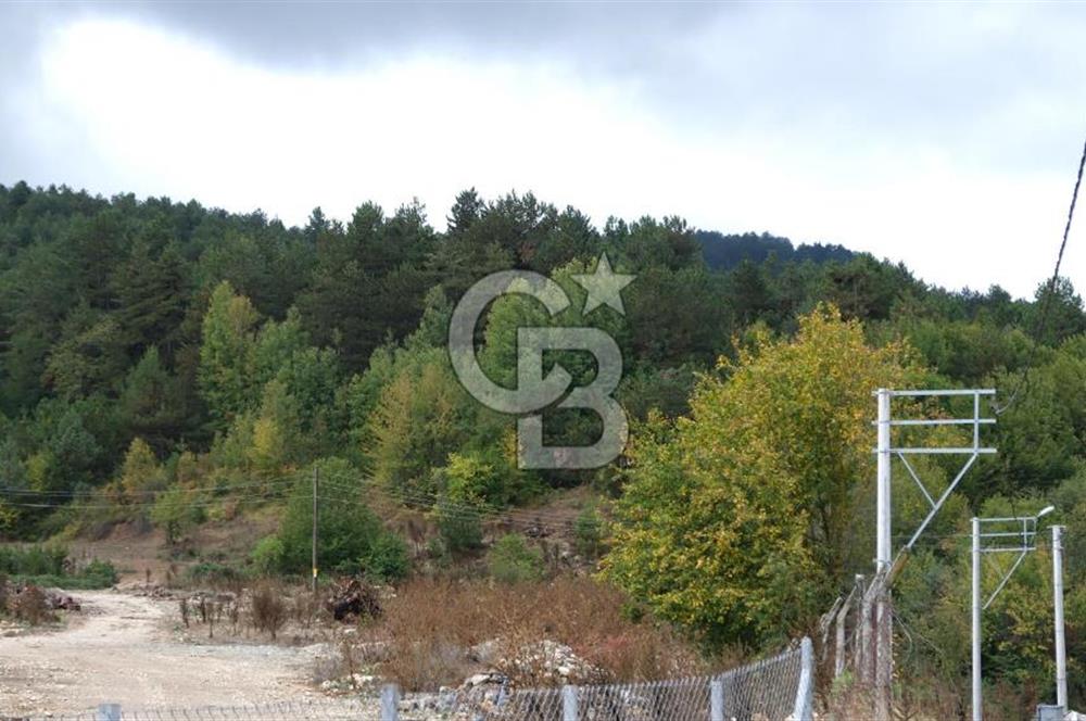 CB CITY' DEN BOLU MERKEZ GÖVEN DE TURİZM İMARLI SATILIK ARSA