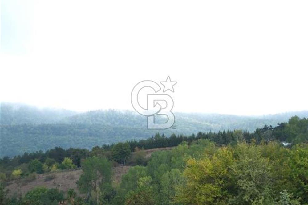 CB CITY' DEN BOLU MERKEZ GÖVEN DE TURİZM İMARLI SATILIK ARSA