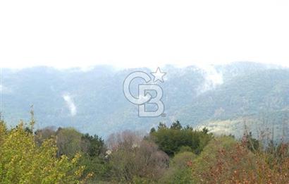 CB CITY' DEN BOLU MERKEZ GÖVEN DE TURİZM İMARLI SATILIK ARSA