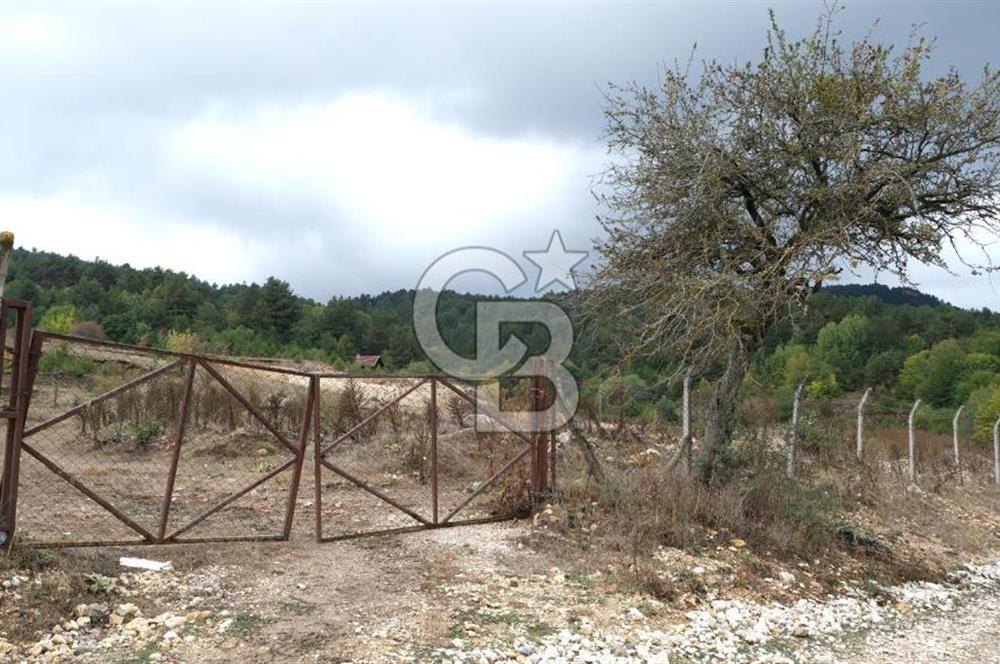 CB CITY' DEN BOLU MERKEZ GÖVEN DE TURİZM İMARLI SATILIK ARSA