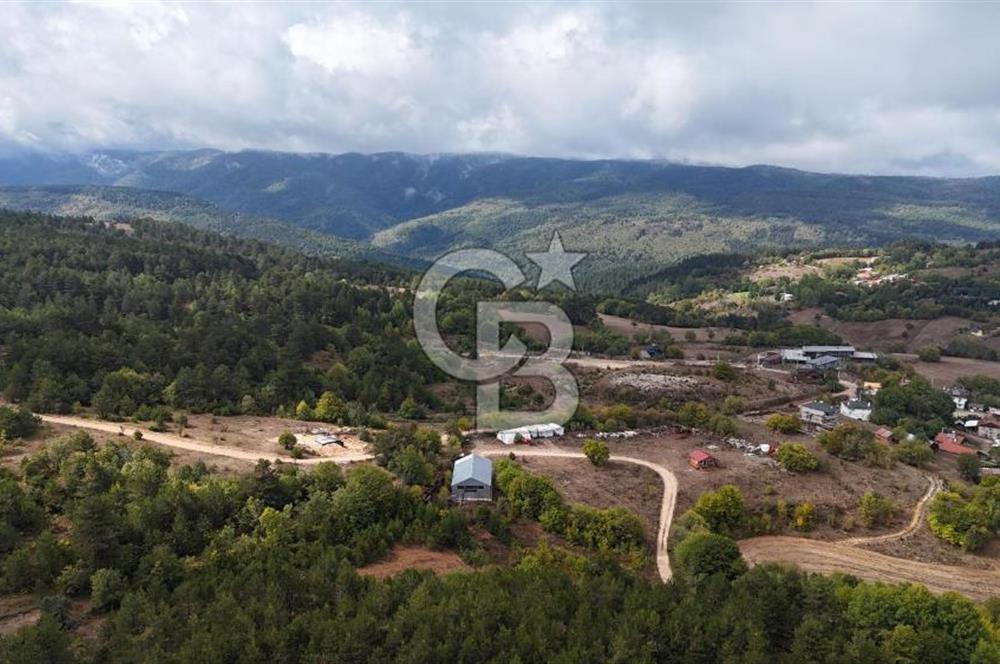 CB CITY' DEN BOLU MERKEZ GÖVEN DE TURİZM İMARLI SATILIK ARSA