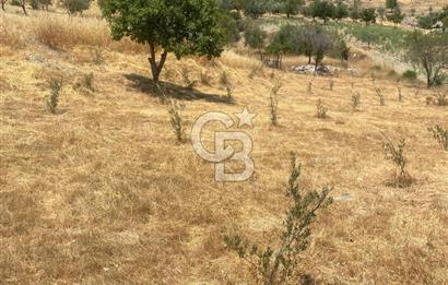 CB GİZ'DEN KAŞ SARIBELENDE SATILIK TARLA