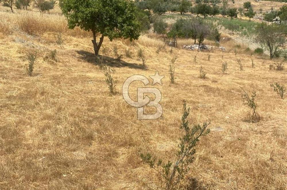 CB GİZ'DEN KAŞ SARIBELENDE SATILIK TARLA