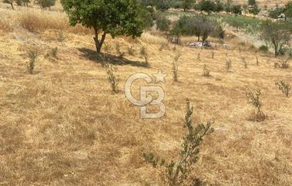 CB GİZ'DEN KAŞ SARIBELENDE SATILIK TARLA