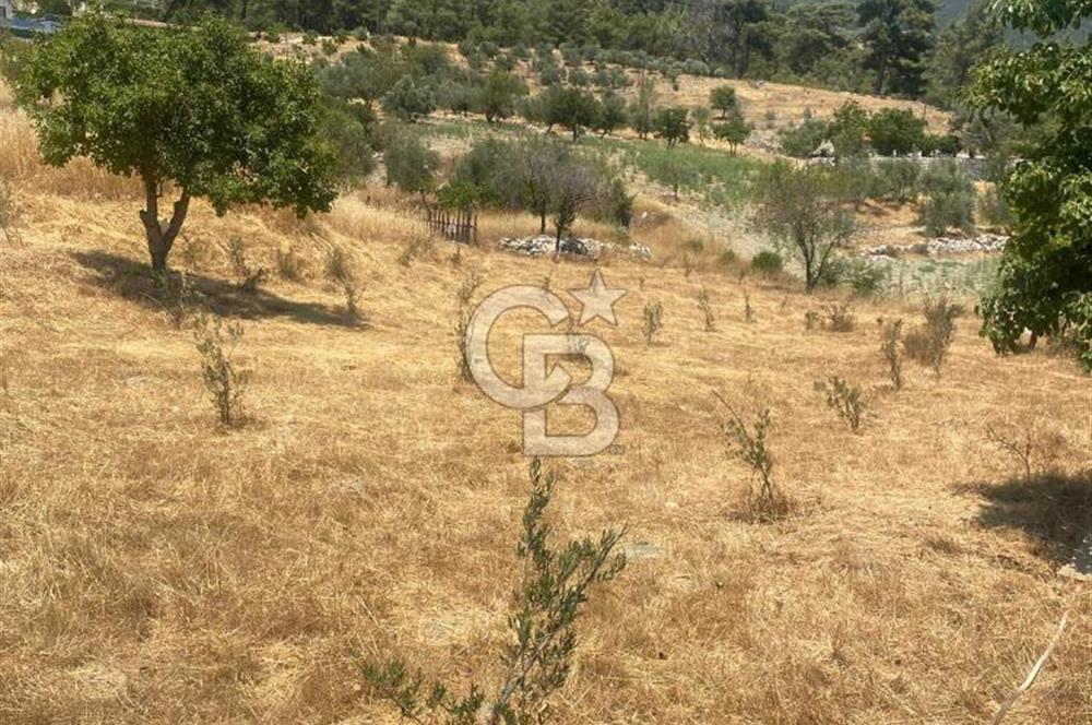 CB GİZ'DEN KAŞ SARIBELENDE SATILIK TARLA