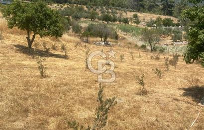 CB GİZ'DEN KAŞ SARIBELENDE SATILIK TARLA