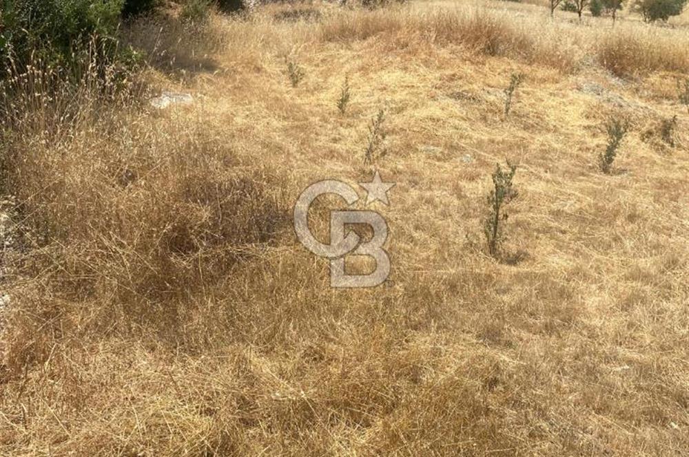 CB GİZ'DEN KAŞ SARIBELENDE SATILIK TARLA