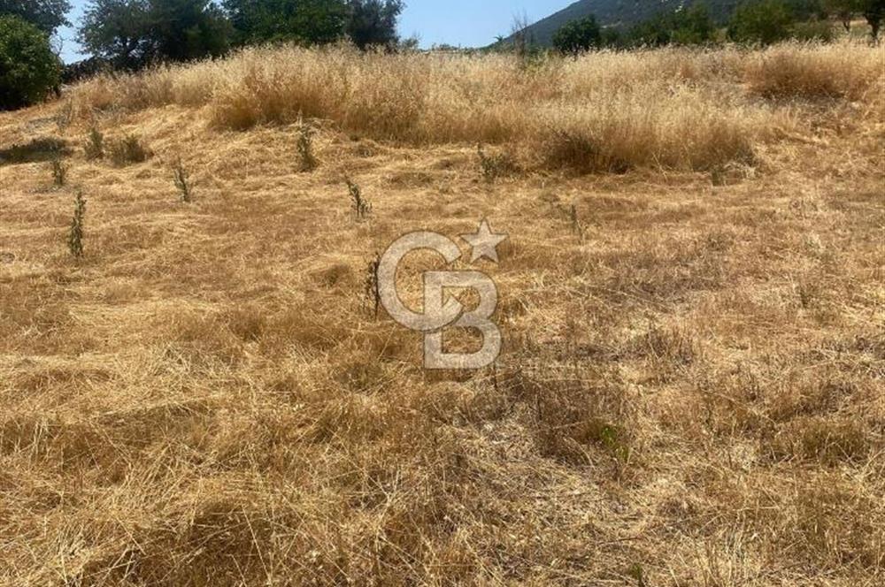 CB GİZ'DEN KAŞ SARIBELENDE SATILIK TARLA